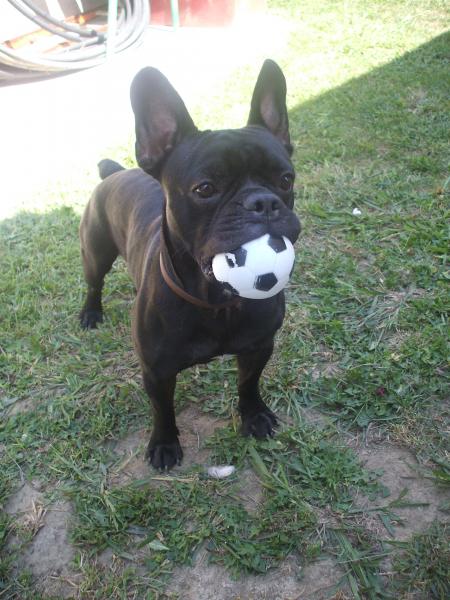 ChaRLY =)